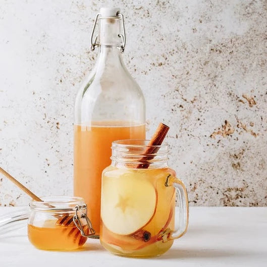 Fairment Bio Kombucha Teepilz